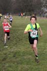 No 44 under-13 boys Northern Cross Country Champs, Knowsley Safari Park. Photo: David T. Hewitson/Sports for All Pics